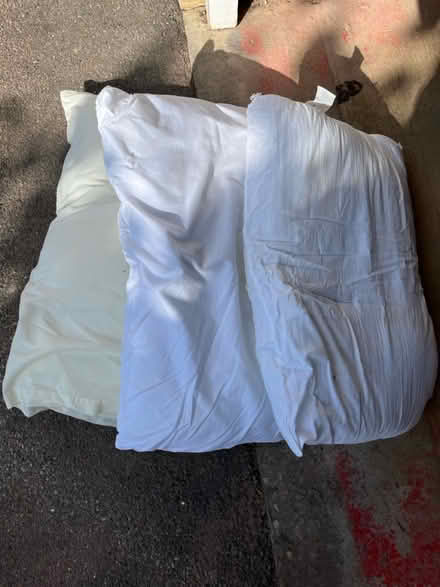 Photo of free 3 used pillows (Tunbridge Wells) #1