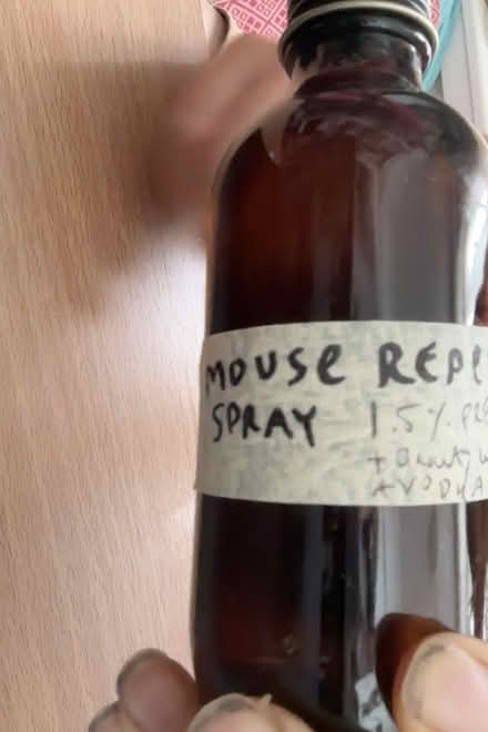 Photo of free DIY Mouse repellent spray (natural) (W2 - Notting Hill Gate) #1