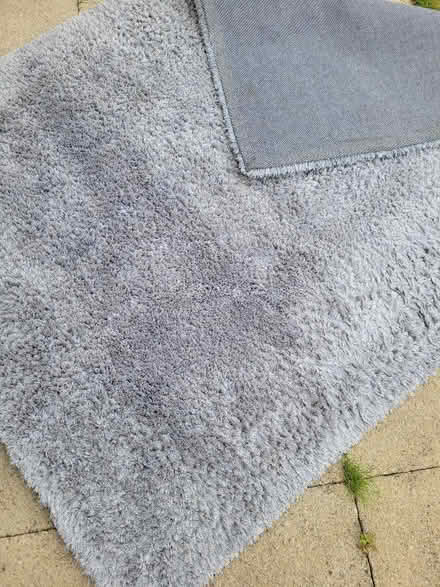 Photo of free Rug (Springfield WN6) #2