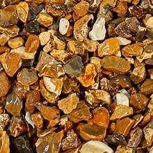 Photo of GOLDEN GRAVEL for Pixies Wildlife Rescue (Blackpool FY1) #2