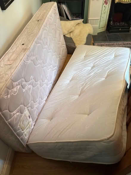 Photo of free Two single mattresses (BT14) #2