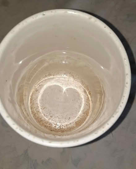 Photo of free POT- see description (Woodley RG6) #2