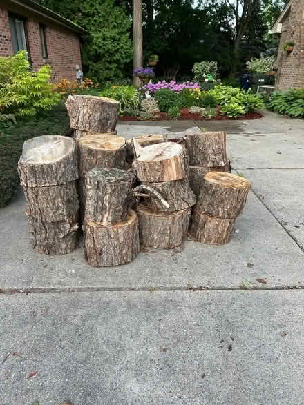 Photo of free fire wood - birch (St Hgts/ Schoenherr& 19) #1