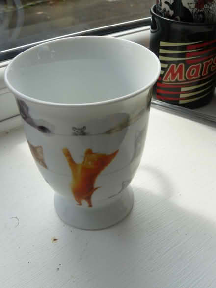 Photo of free 1 x cat illustrated mug (Kempsey WR5) #1