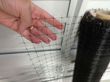 Photo of free Netting (TN25) #2