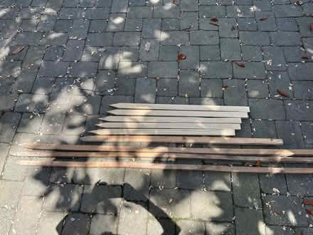 Photo of free Garden Stakes (Kensington) #1