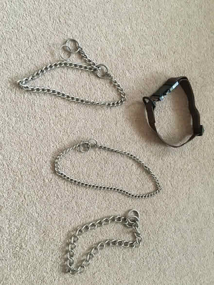 Photo of free Dog chains and collar (Horn's Mill SG13) #1