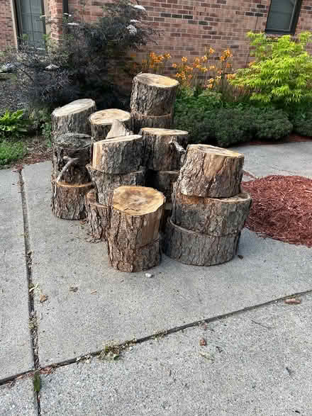 Photo of free fire wood - birch (St Hgts/ Schoenherr& 19) #2