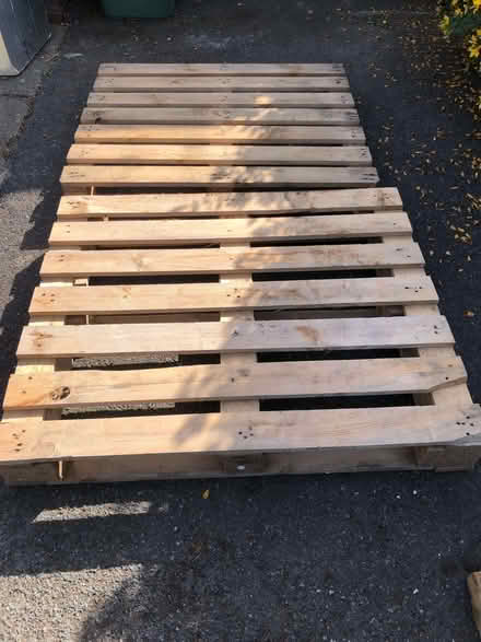 Photo of free pallets (Sedlescombe Street TN33) #1