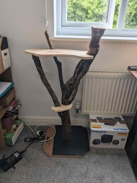 Photo of free Homemade cat tree (BS5) #1