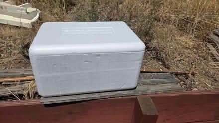 Photo of free Styrofoam (Martinez) #1