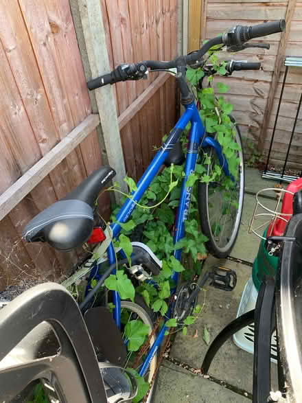 Photo of free Two bicycles (Birchwood AL10) #4
