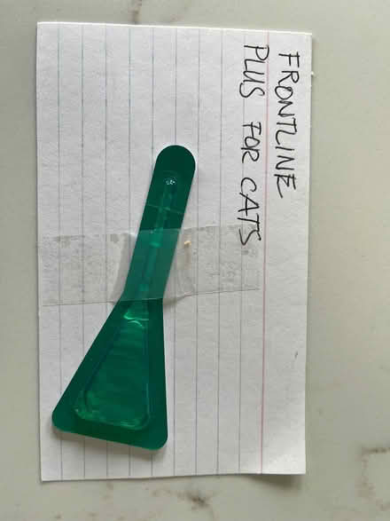 Photo of free Frontline Plus for cats (Wallingford) #1