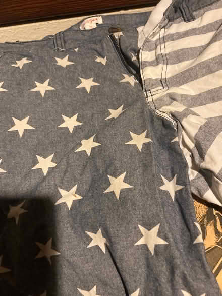 Photo of free Boys’ size 16 July 4th shorts (Foothill Boulevard Cupertino) #2