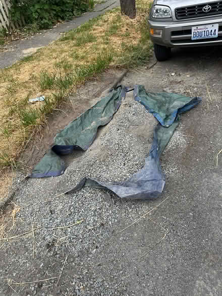 Photo of free Sand (Leschi/Madrona) #1