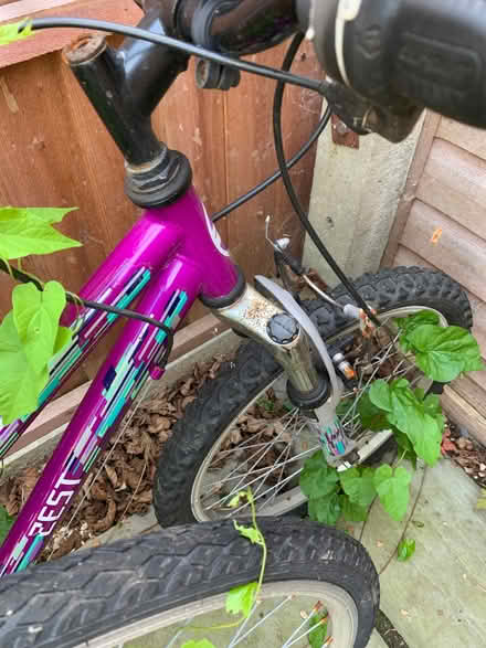 Photo of free Two bicycles (Birchwood AL10) #3