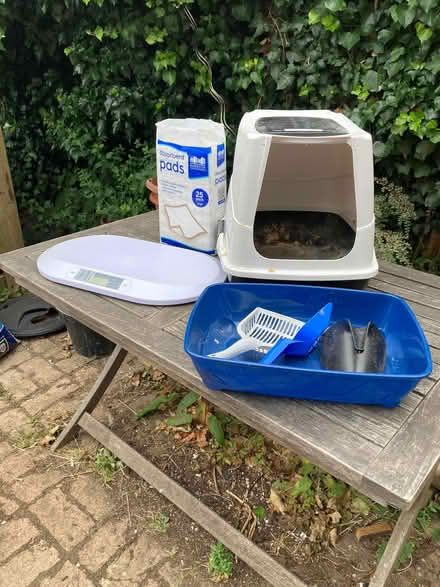 Photo of free Cat Scales, Puppy Pads, Cat Trays and Scoops (Iffley OX4) #1