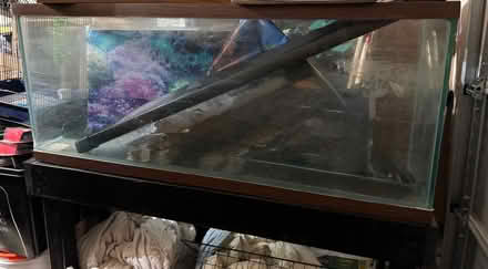 Photo of free Aquariums/Fish Tanks (Alexandria (Kingstowne)) #2