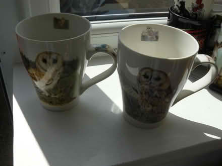 Photo of free 2 x owl illustrated mugs (Kempsey WR5) #1