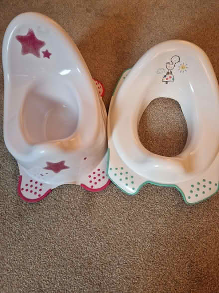 Photo of free Potty and toilet seat (New Longton PR4) #1
