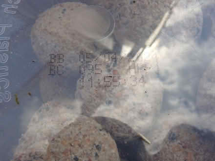 Photo of free 3 x plastic tubs of assorted bird food BBE 04/2024 (Kempsey WR5) #3