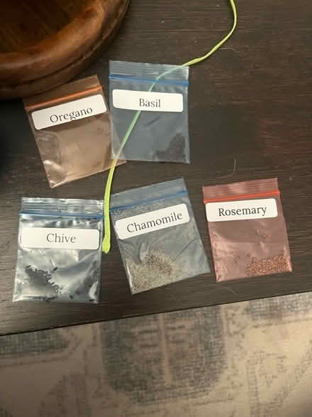 Photo of free Herb seeds (Mavis and Eglinton) #1