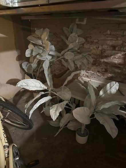 Photo of free faux plants spray painted white (Dempster east of Ridge) #1