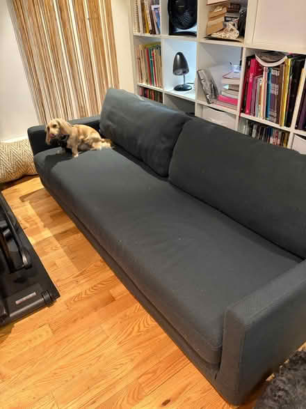 Photo of free Blue Dot sleeper sofa (Park Slope) #3