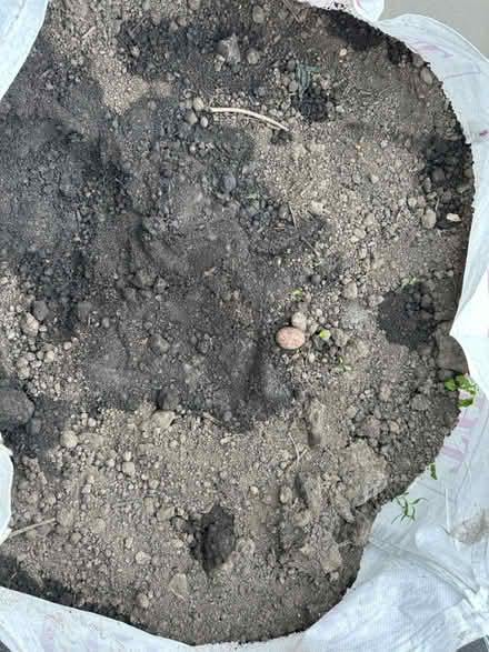 Photo of free TopSoil - Collection (Gilmerton EH17) #3