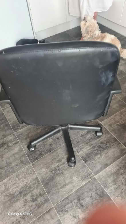Photo of free Computer Chair (CT12) #3