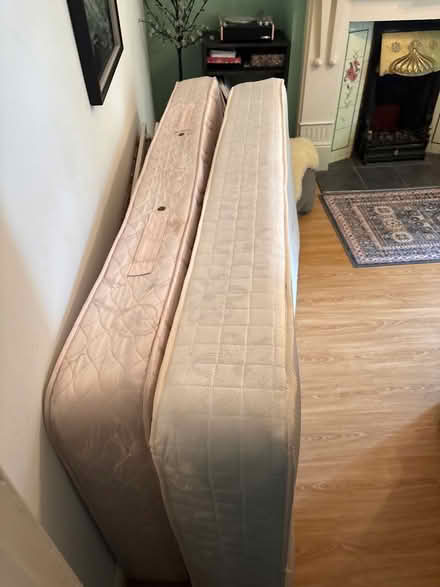 Photo of free Two single mattresses (BT14) #1
