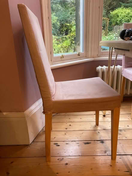 Photo of free Eight dining chairs (Jesmond) #1