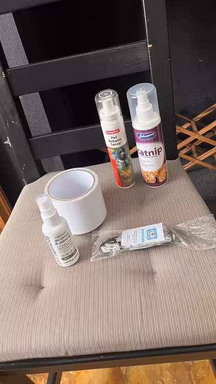 Photo of free Cat Supplies (Highbury N7) #1