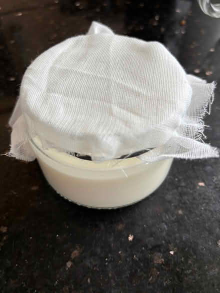 Photo of free Kefir culture (Kenton) #1