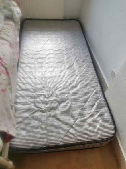 Photo of free single mattress (N10 2EB) #1