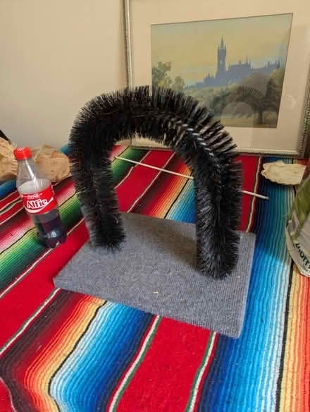 Photo of free Cat arch (Montgomery St, EH7.) #1