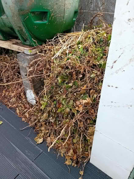 Photo of free Green waste for compost (Firhouse) #3