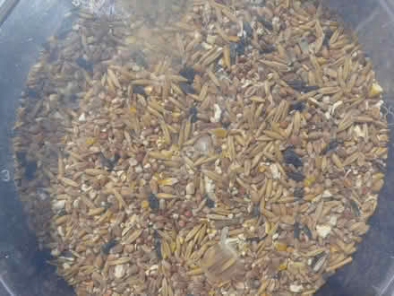 Photo of free 3 x plastic tubs of assorted bird food BBE 04/2024 (Kempsey WR5) #2