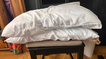 Photo of free Pillows (Highbury N7) #1