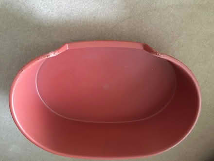 Photo of free Dog bed (Horn's Mill SG13) #3