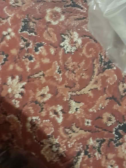 Photo of free Carpet (Loughton IG10) #3