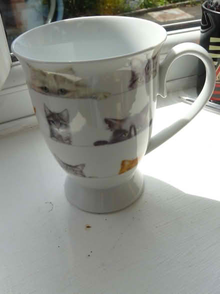 Photo of free 1 x cat illustrated mug (Kempsey WR5) #2
