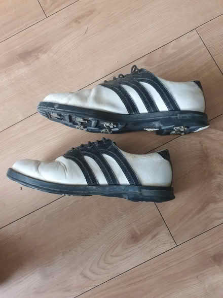 Photo of free Golf shoes size 11 (Welling DA16) #2