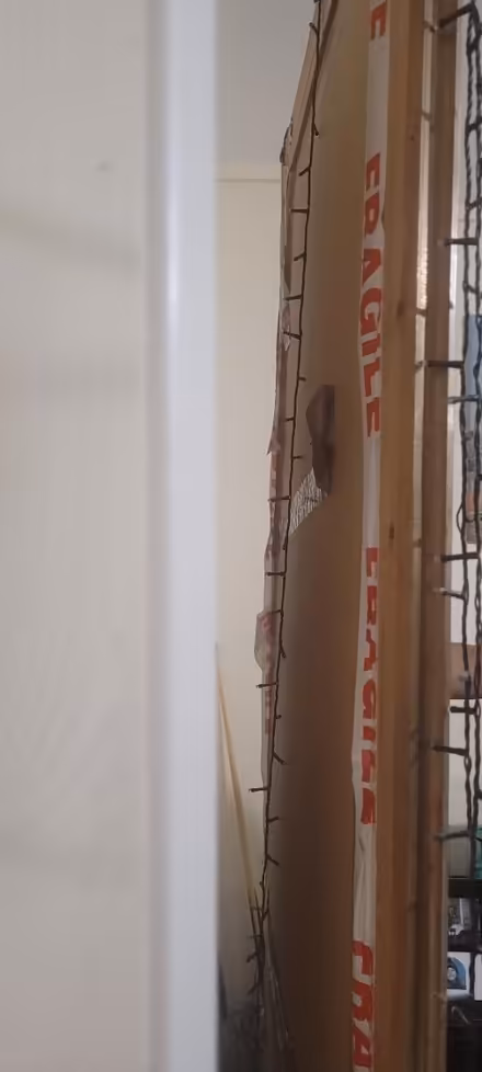 Photo of free Large mirror L 97in W 40in (Canning town E16) #2