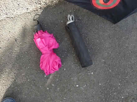 Photo of free 3 x telescopic foldable umbrellas (Kempsey WR5) #3