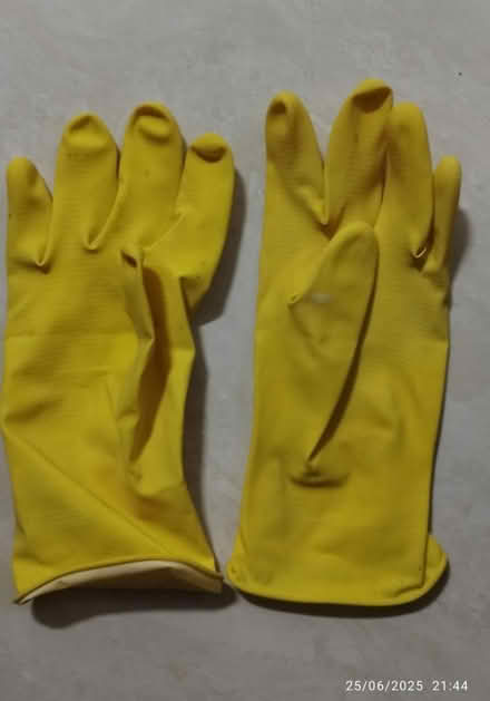 Photo of free Latex gloves (L) 12" (Tpy) #1