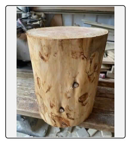 Photo of Tree trunk/stump (Hitchin SG4) #2