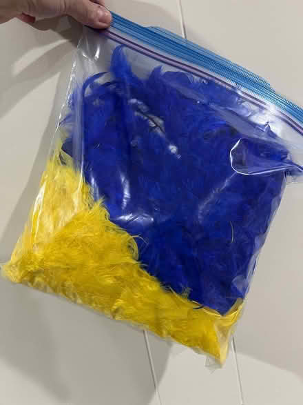 Photo of free Party Decorations (Wood Ridge) #3
