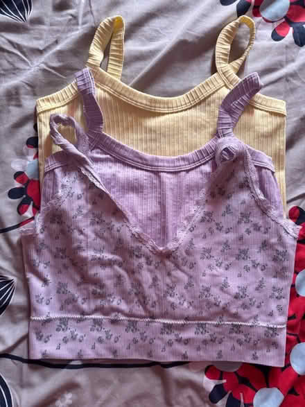 Photo of free Crop tops xl (Aspley NG8) #2