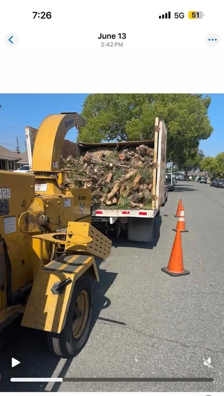 Photo of free fire wood (Anaheim) #1